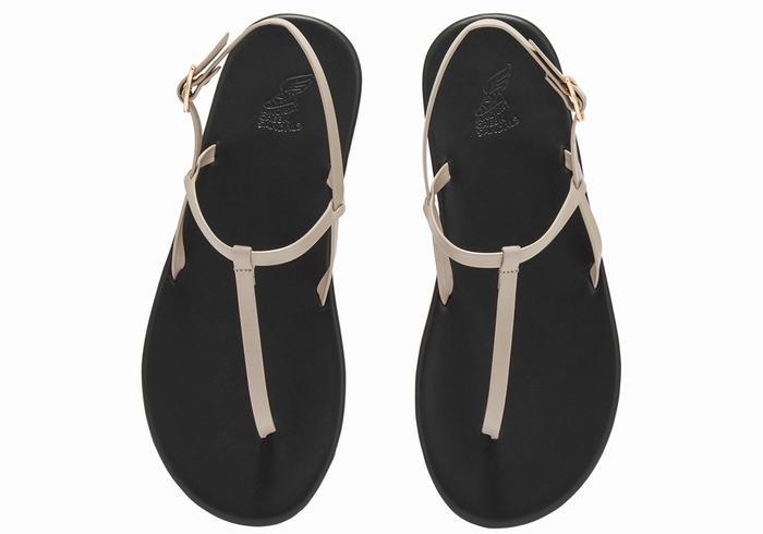 Sandales Bride Arrière Ancient Greek Sandals Lito Flip Flop   | WWS-8247319